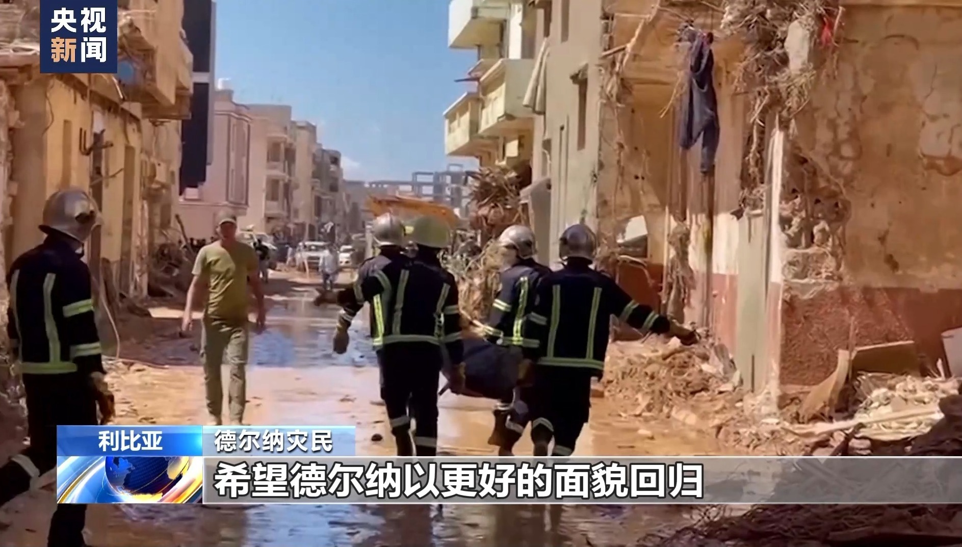 官网网址论坛